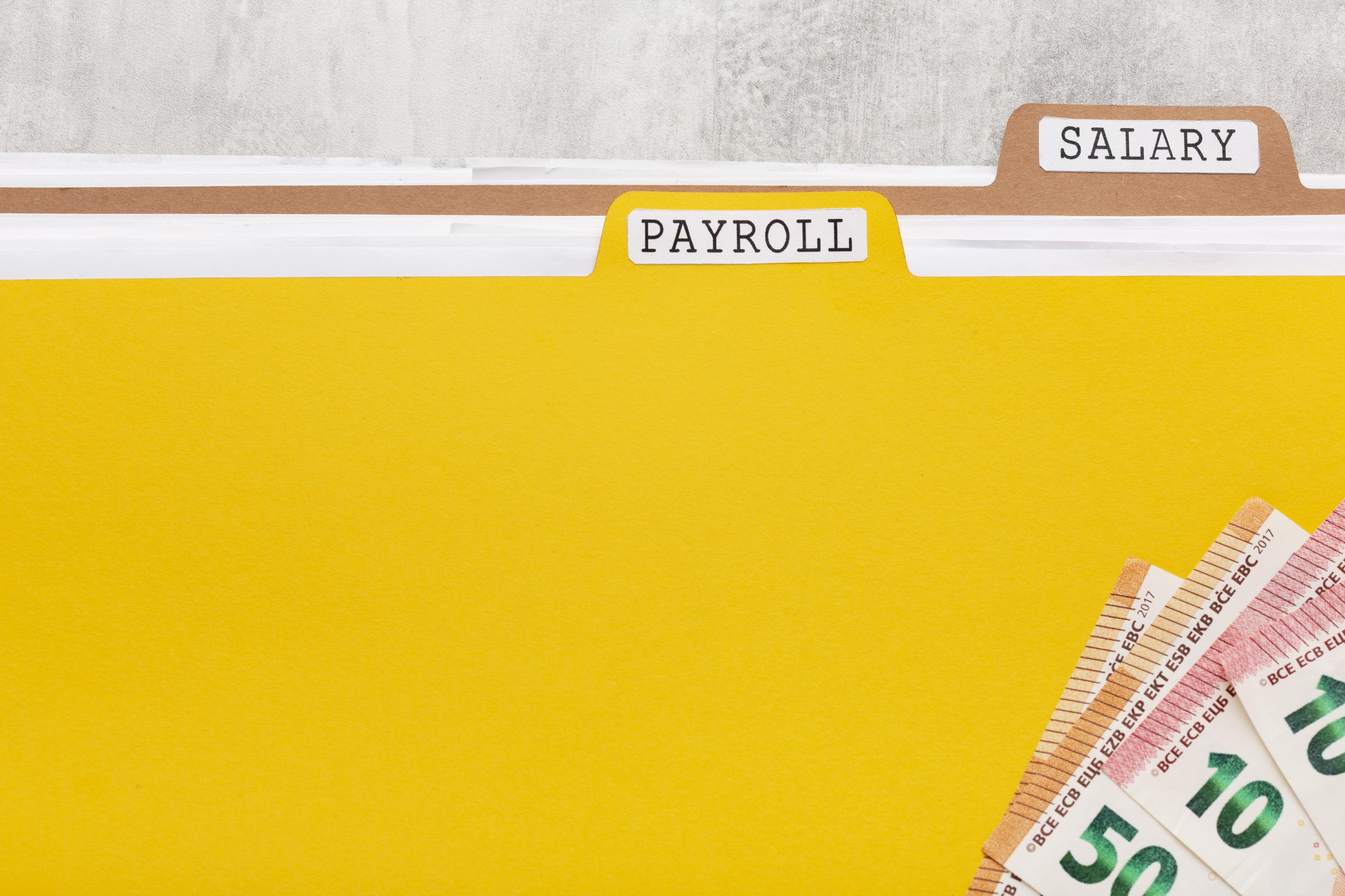 Payroll-and-Salary - Finance for Professionals Financial Services